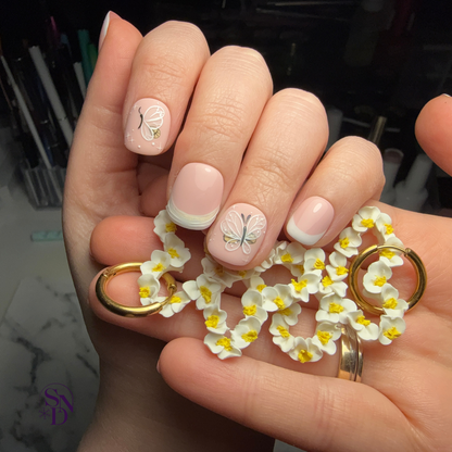 Butterfly Elegance
